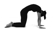 Bidalasana