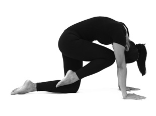 Bidalasana